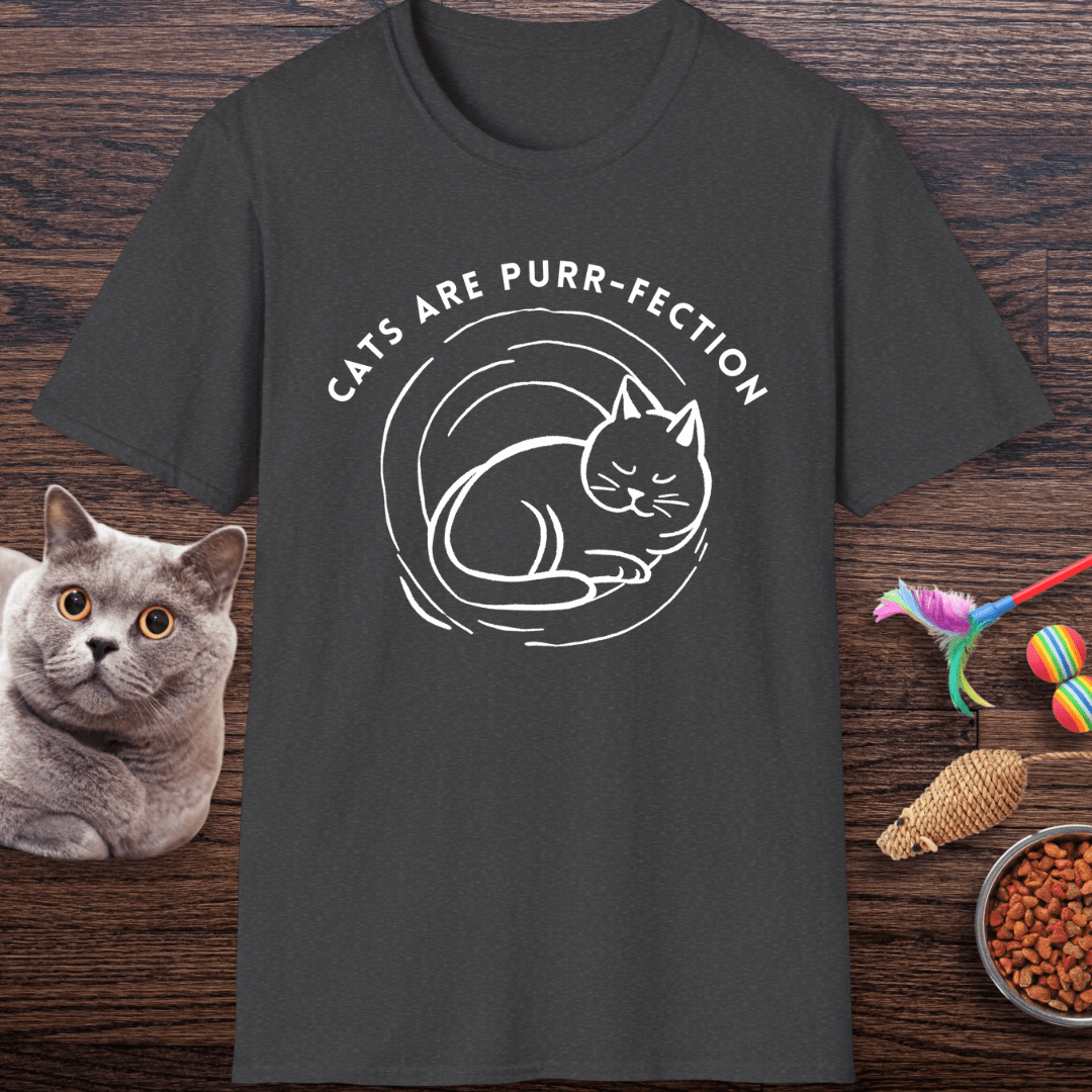 Cats Are Purr-fection T-Shirt