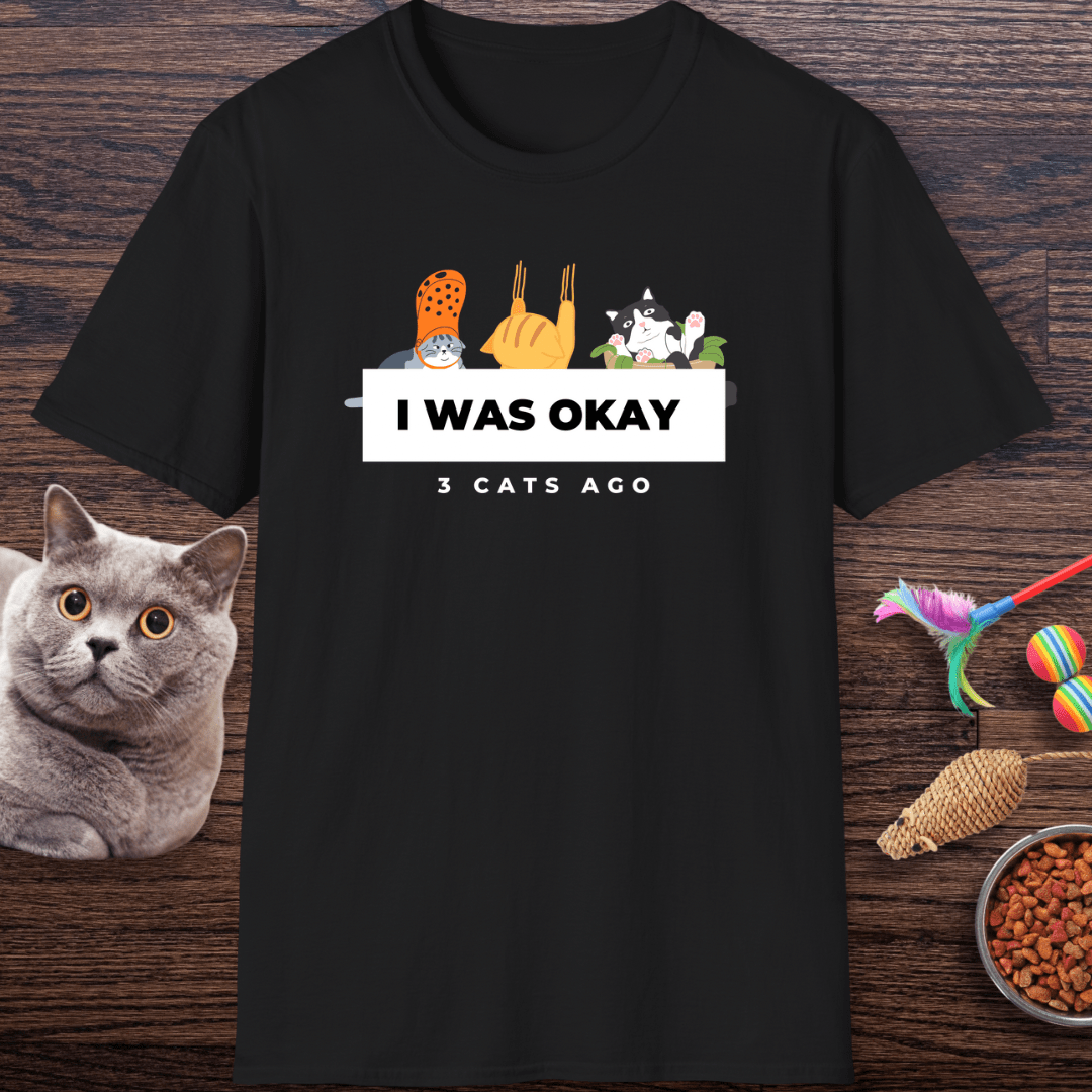 I Was Okay 3 Cats Ago T-Shirt