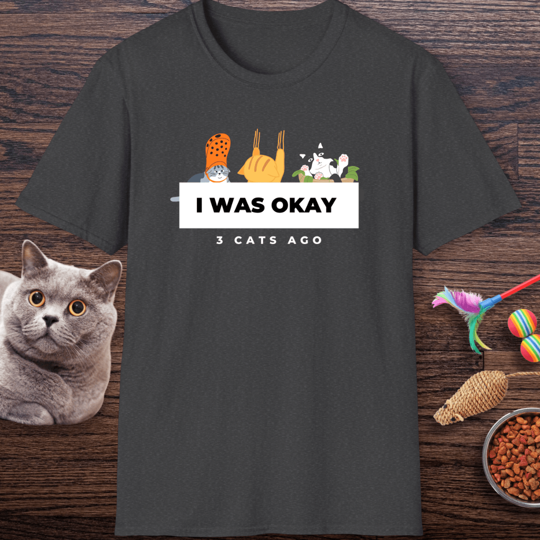 I Was Okay 3 Cats Ago T-Shirt