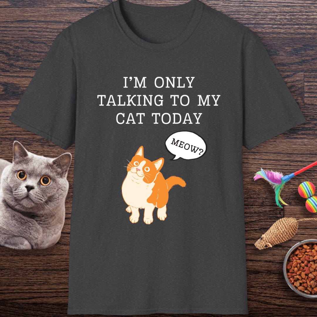 I’m Only Talking to My Cat Today T-Shirt