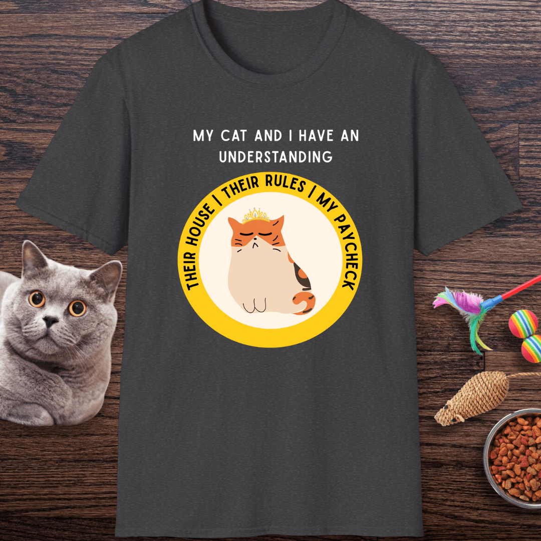 My Cat and I Have An Understanding T-Shirt