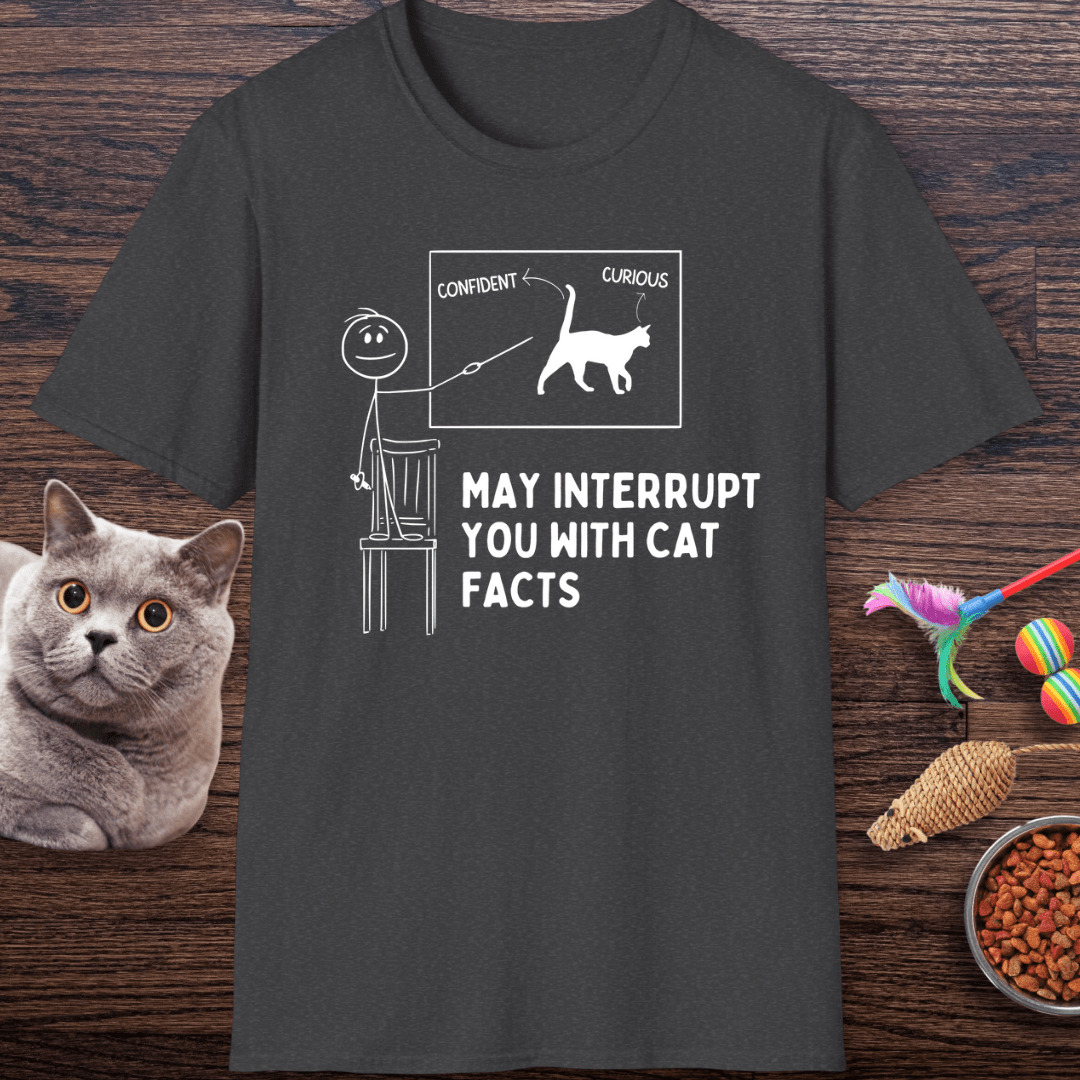 May Interrupt You With Cat Facts T-Shirt