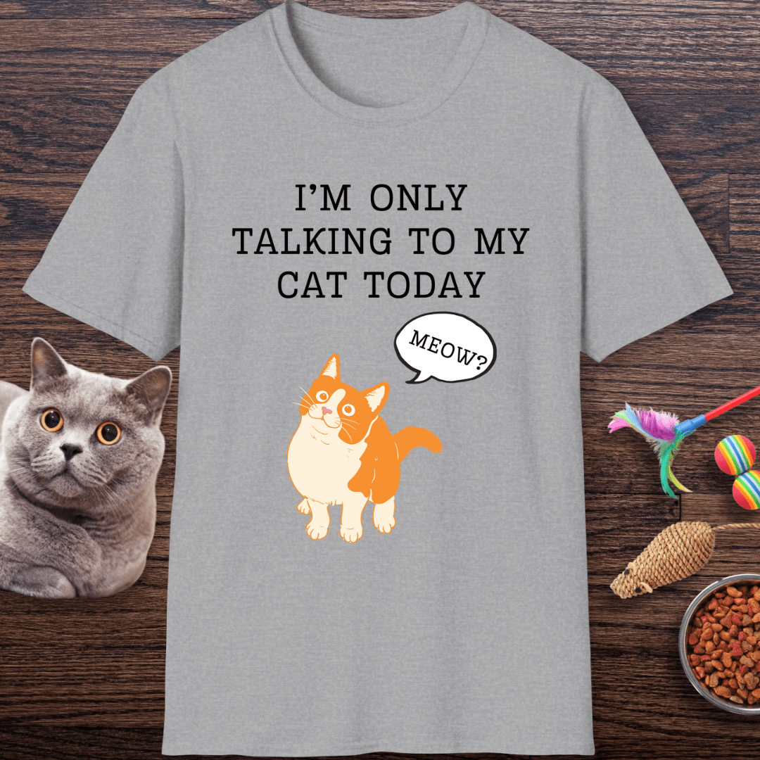 I’m Only Talking to My Cat Today T-Shirt