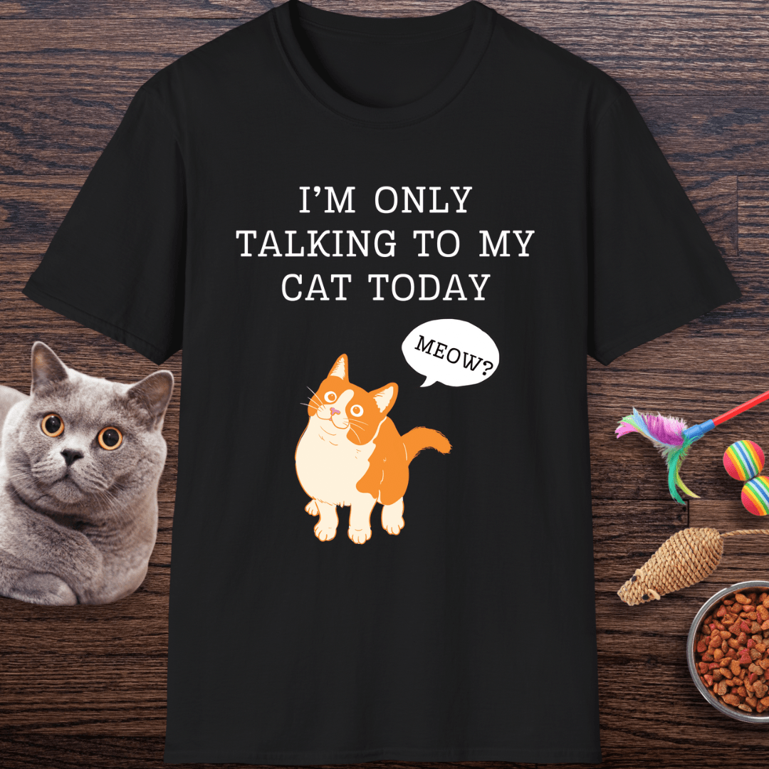 I’m Only Talking to My Cat Today T-Shirt